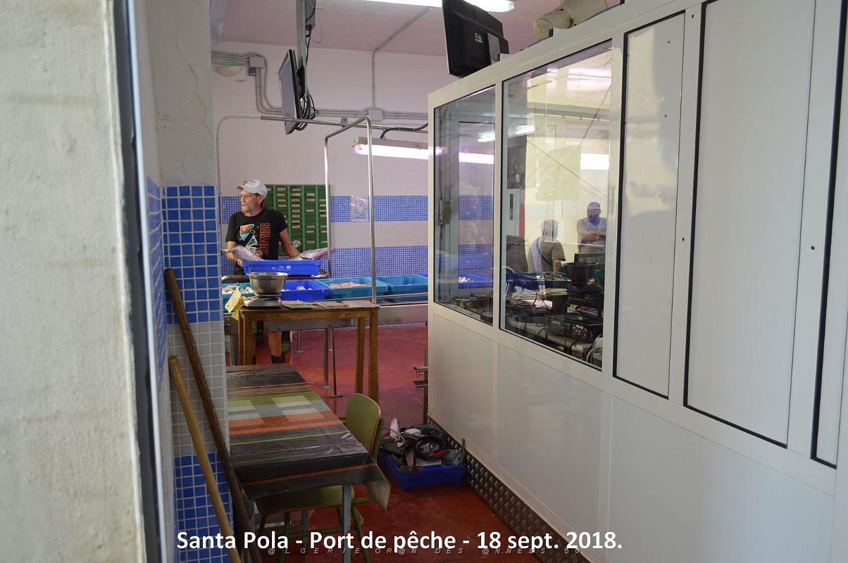 11 SANTA POLA PORT DE PECHE (56).JPG